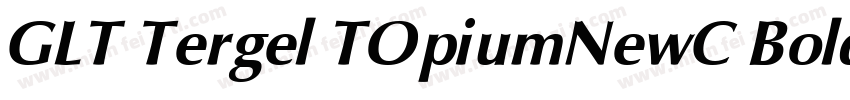 GLT Tergel TOpiumNewC Bold Italicig字体转换